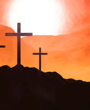 banner1
